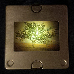 brooch