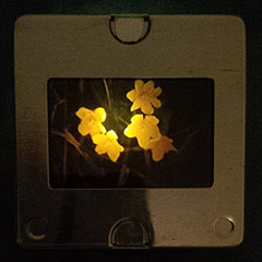 brooch
